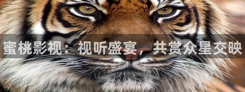 藍(lán)莓網(wǎng)站免費(fèi)：蜜桃影視：視聽盛宴，共賞眾星交映